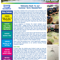 Newsletters